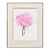 Pink Rose Floral Study by Barbara Gibson For Sale