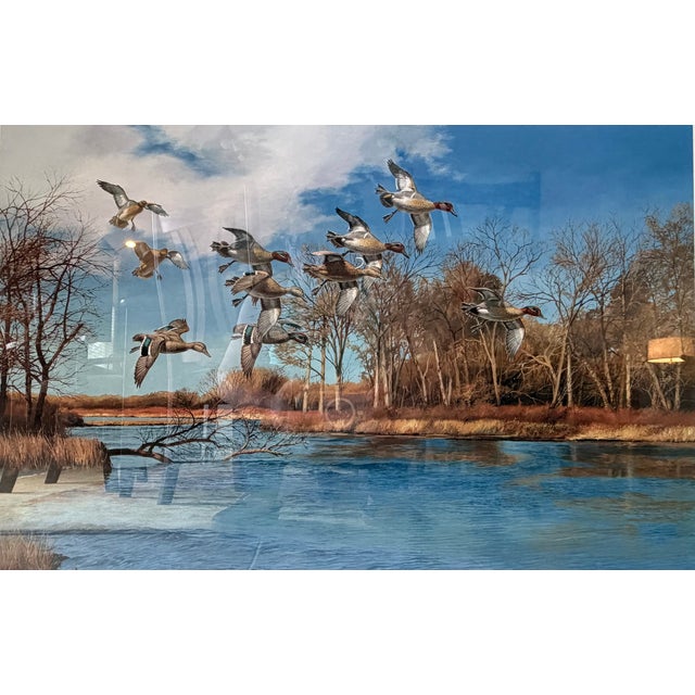 Realism Signed David Maas 1986 Limited Edition "Green-Winged Teal on the Platte" Matted & Framed 34.5"x26.5" for Ducks Unlimited For Sale - Image 3 of 9