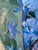 Original Work on Paper-Jardin d'Hiver-Shizico Yi-British Awarded Artist-Impasto-Oil on Paper For Sale - Image 12 of 18