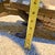 Large Wood Alligator Folk Art Sculpture For Sale - Image 14 of 18