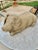 20th Century Vintage Concrete Garden Pig Statue For Sale - Image 10 of 12