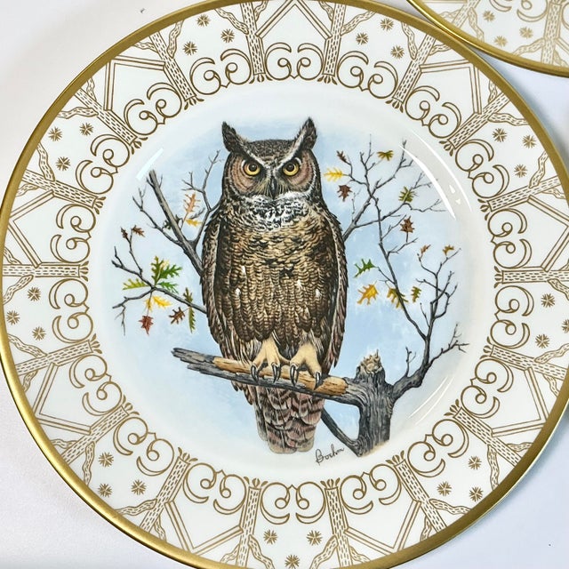 1980 Vintage Arts & Crafts English Bone China Owl Dinner Plates -Set of 8. For Sale - Image 15 of 18