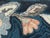 "The Faithful Companion" American Folk Art Hound Pictorial Hooked Rug, 1920s For Sale - Image 12 of 18