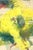 Barbara Schauß, Lemon Spritz, Oil and Acrylic on Canvas For Sale - Image 10 of 10