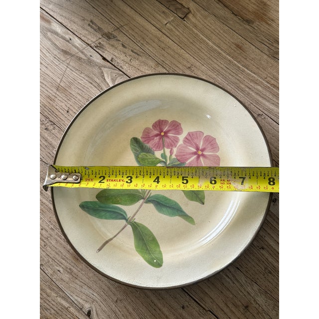 Metal 1810 French "Creil Et Montereau" Botanical, Pearlware Desert Plate For Sale - Image 7 of 7