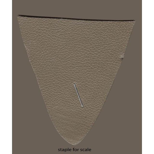 5 Edelman Leather Hides For Sale - Image 4 of 9