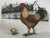 Brown Vintage Original Hand Tinted Etchings by Lucius DuBose, a Pair For Sale - Image 8 of 12