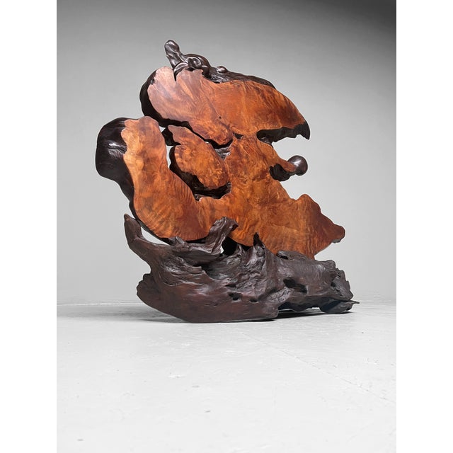 Japanese Burl Wood Decoration For Sale - Image 10 of 15