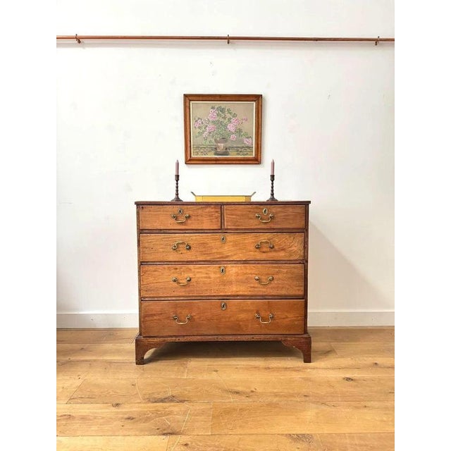 Georgian Fruitwood Chest of Drawers For Sale - Image 11 of 11