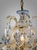 Statement Marie Theresa Crystal and Brass Twelve Branch Chandelier For Sale - Image 5 of 8
