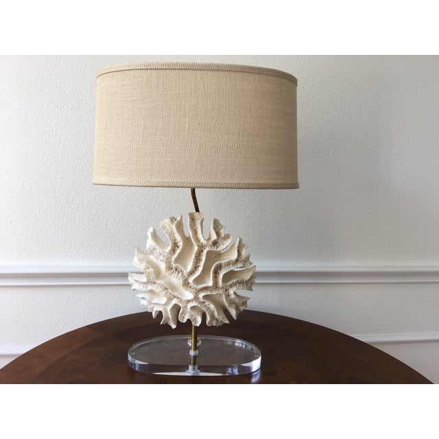 Natural Coral Lamps Pair Chairish