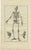Bartolomeo Eustachi, Anatomy Illustration of the Human Skeleton, 1798, Print For Sale