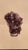 This listing features a beautiful cluster Amethyst on a metal stand, perfect addition to a bookshelf or mantel. Amethyst...