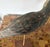 Vintage Hand Carved and Painted Wooden Shorebird, Folk Art For Sale In New York - Image 6 of 6