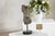 Late 20th Century Small Male Torso Bronze Sculpture on Circular Marble Base For Sale - Image 12 of 15