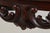 Baker Carved Mahogany Paw Foot Console Table For Sale - Image 9 of 13
