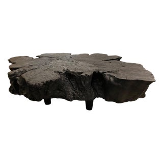 Andrianna Shamaris Amorphous Charred Coffee Table For Sale