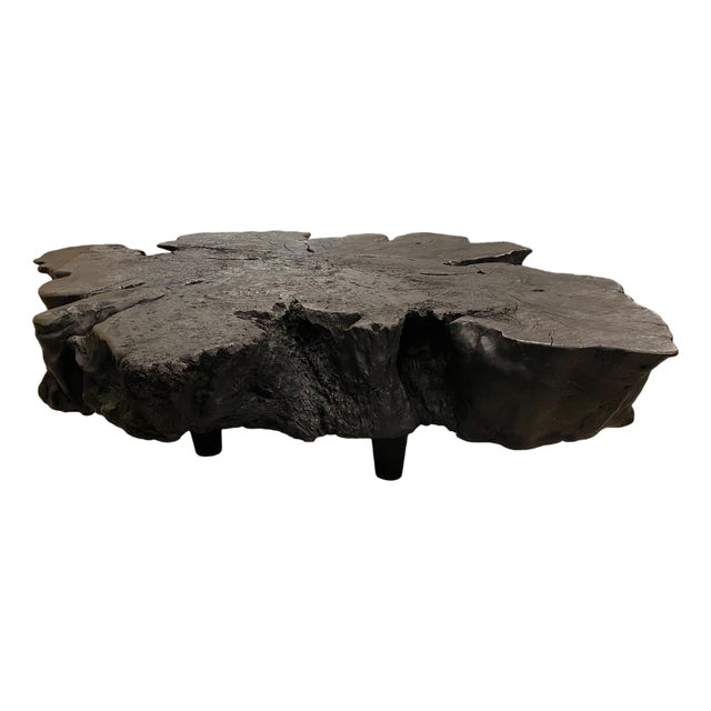 Andrianna Shamaris Amorphous Charred Coffee Table For Sale