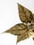 Brass Flush Mount Lamp by Willy Daro, 1970s For Sale - Image 14 of 18
