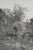Antique Ernest C Rost Signed Cottage Farmhouse Panoramic Landscape Etching 26" For Sale - Image 14 of 14
