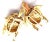 1960s Boucheron France Yellow Gold Enamel Set of Two Turtle Brooches For Sale - Image 10 of 12