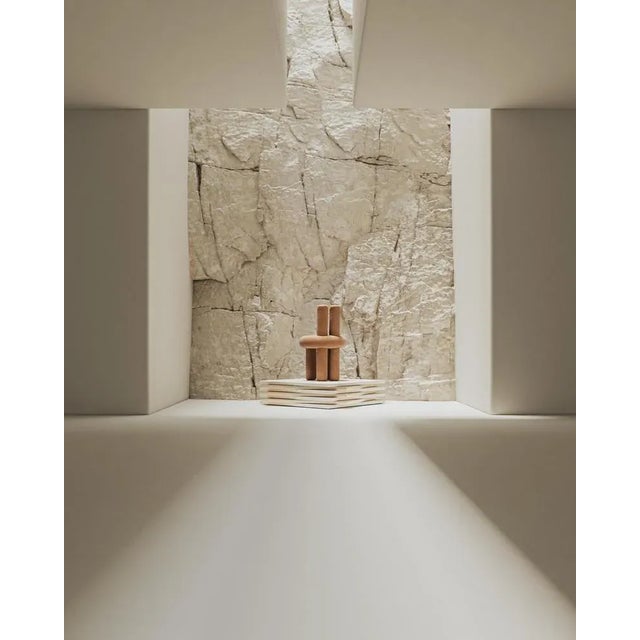 Wood Set of Terracotta Salvador Chairs by Nelson Araujo For Sale - Image 7 of 8