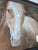 1980s Rich Maxey Oil Pastel Horse Portrait Painting in Rustic Wood Frame, Signed For Sale - Image 4 of 12
