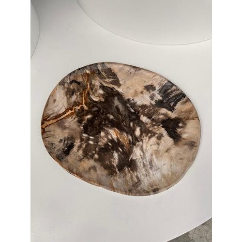 Wood Very Large Vide-Poche or Dish in Petrified Wood For Sale - Image 7 of 18