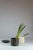 Strand after strand, the clay stratifies like a memory deposited over time. Marble holds the silent weight of ages, of...