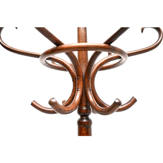 Antique Victorian Bentwood Hatstand, 1890 For Sale - Image 6 of 10