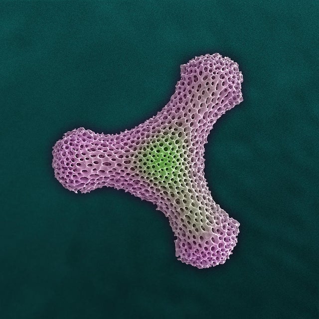 “Fidget” Radiolarian Digital Painting by Modernist Andrew Leonard For Sale