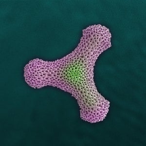 “Fidget” Radiolarian Digital Painting by Modernist Andrew Leonard