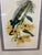 Yellow Louis Van Houtte's Orchid Botanical Print, Framed For Sale - Image 8 of 12