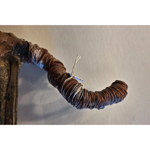 1990s Laura Donefer Canadian Artist and Pilchuck School Teacher Art Glass Sculpture For Sale - Image 11 of 12