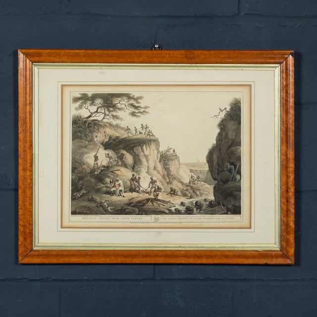 A finely engraved sporting print entitled “Smoking Wolves from their Earths / Chasse des Loups dans leurs Tanières”,...