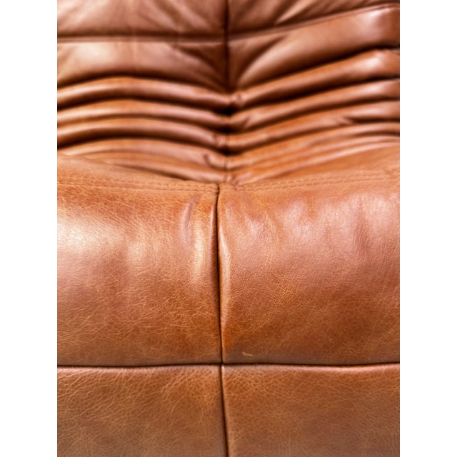 French Togo Three-Seater Sofa in Cognac Cow Leather by Michel Ducaroy for Ligne Roset For Sale - Image 9 of 15
