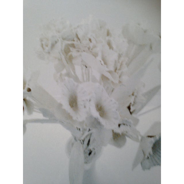 Massimo Lorusso, Blinding Ghost I, Photograph Mounted on Aluminum, 1999 For Sale - Image 4 of 8