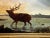19th Century Oil Painting Wild Stag Male Deer Scottish Highlands Wading Loch Lomond Dated 1880 For Sale - Image 9 of 12