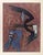 Wifredo Lam, Untitled Edition 49/150, 1970s, Lithograph For Sale