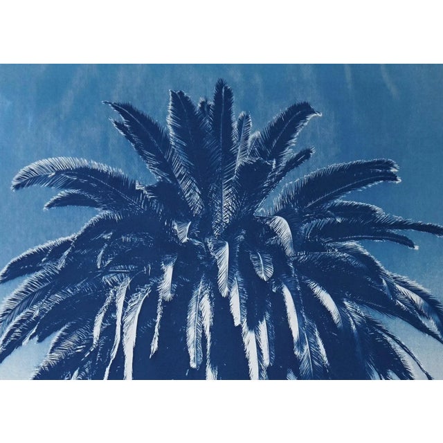 2010s "Desert Palm Trio" Hand Painted Cyanotype Triptych on Watercolor Paper - Set of 3 For Sale - Image 5 of 8