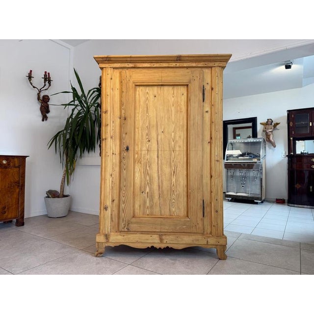 Biedermeier Farmhouse Cupboard in Natural Wood For Sale - Image 10 of 16