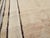 Rustic Galerie Shabab Collection Mid-20th Century Turkish Anatolian Throw Rug For Sale - Image 3 of 7