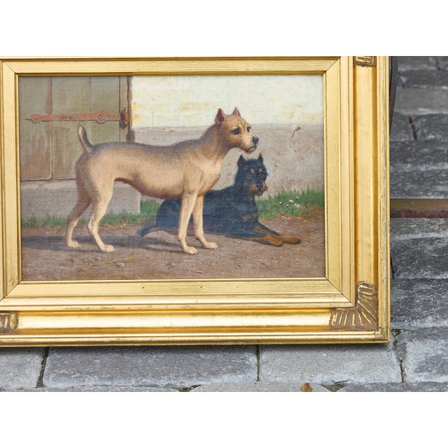 Continental Oil Painting of Two Dogs in Courtyard, circa 1900 - Gilt Frame For Sale - Image 9 of 12