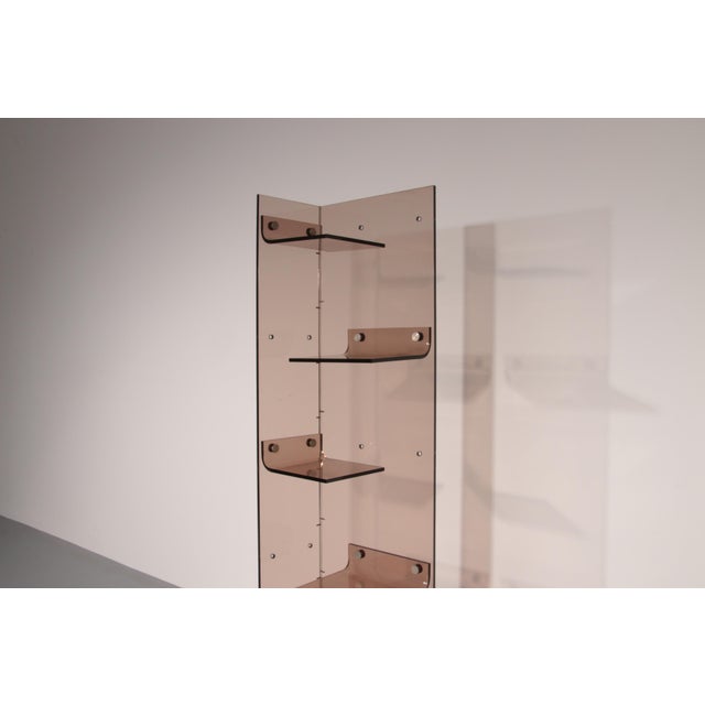 Space Age French Acrylic Glass Bookcase from Michel Dumas, 1970s For Sale - Image 10 of 12