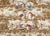 Equine Melamine Side Plates- Set of Six For Sale - Image 12 of 13