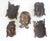 Out Theatrical Masks is a curated collection & make a wonderful artful display! Make a bold focus point and continue to...