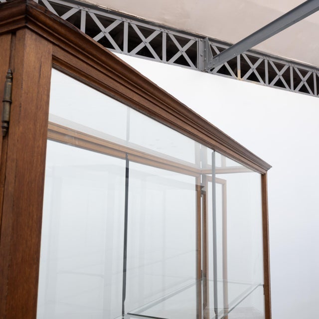 Antique Oak Museum Display Cases, 1900 For Sale - Image 6 of 13