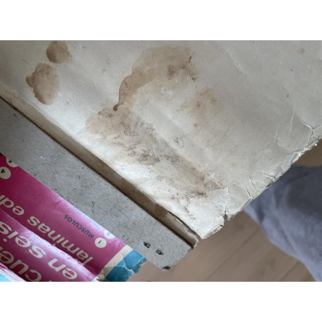 Human Body Circulatory System Poster, 1964 For Sale - Image 8 of 10