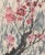 Ding Yong Nian Cherry Blossoms Gouache For Sale - Image 4 of 8