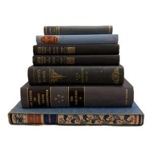 Set of 16 Decorative Antique and Vintage Blue Books